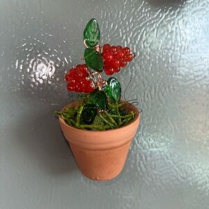 **SOLD OUT** Miniature Raspberry Plant in Terracotta Pot Fridge Magnet